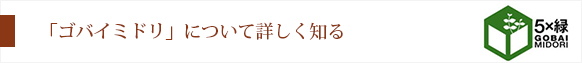 「ゴバイミドリ」について詳しく知る