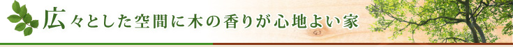 広々とした空間に木の香りが心地よい家